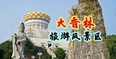免费插逼污视频中国浙江-绍兴大香林旅游风景区
